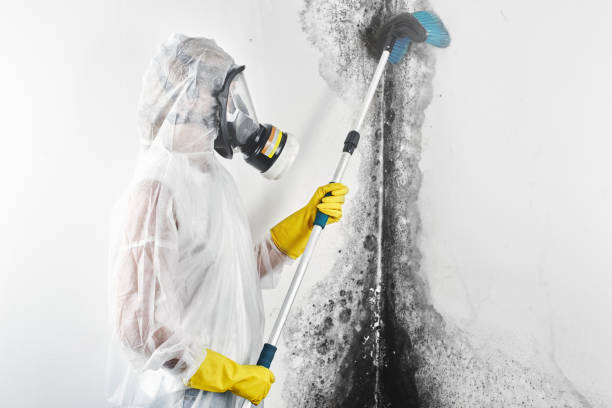 Best Air Quality Testing for Mold Spores  in Cleveland, WI