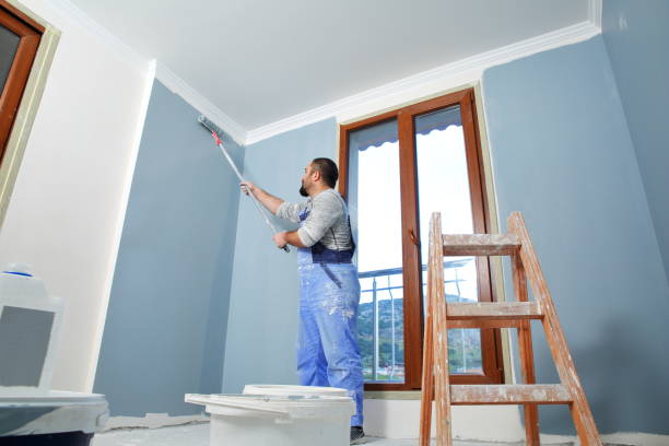 Professional Mold Removal in Cleveland, WI