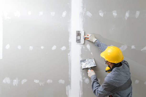 Best Mold Odor Removal Services  in Cleveland, WI