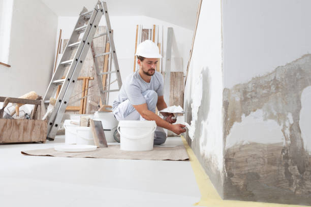 Environmental Consulting for Mold Prevention in Cleveland, WI