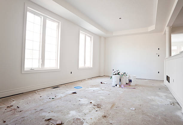 Best Black Mold Removal  in Cleveland, WI