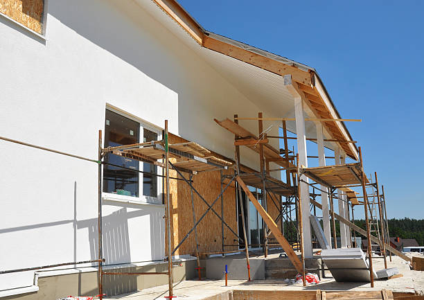 Best Mold Damage Restoration  in Cleveland, WI