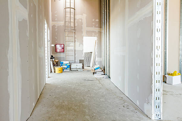 Best Mold Documentation for Insurance Claims  in Cleveland, WI