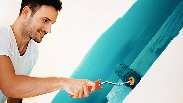 Best Basement Mold Removal  in Cleveland, WI