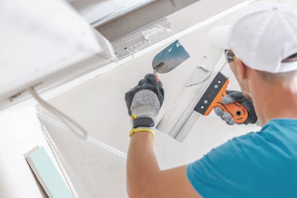 Best Emergency Mold Remediation  in Cleveland, WI
